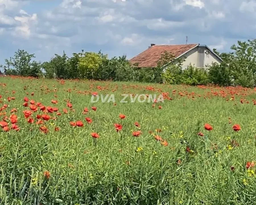 Sale, house, 37m², Čenej, Novi Sad Sve Podlokacije