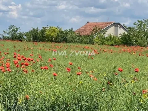 Prodaja, kuća, 37m², Čenej, Novi Sad Sve Podlokacije