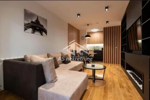 Izdavanje, dvosoban stan, 55m², Južni Bulevar, Vračar Sve Podlokacije - image 6