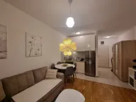 Izdavanje, garsonjera, 31m², Ljubović, Podgorica - image 6