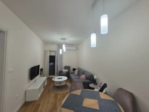 Izdavanje, jednosoban stan, 40m², Central Point, Podgorica - image 6