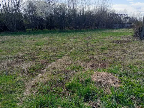 Zarasli plac sa travom i drvećem u pozadini. - image 8