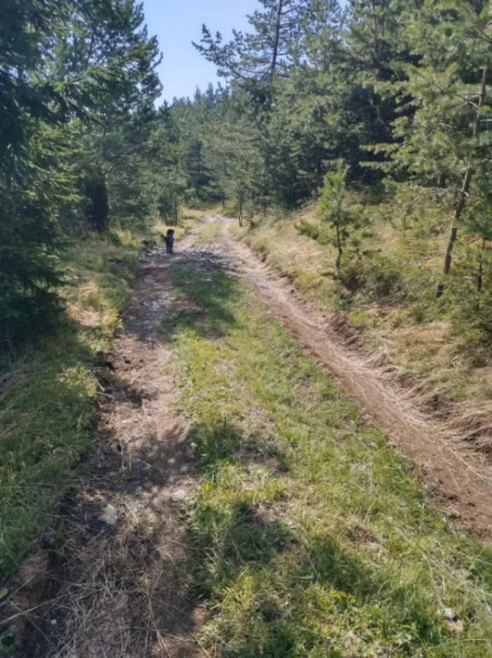 Prodaja, plac, 7000m², Tara, Srbija