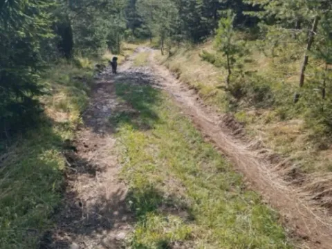 Prodaja, plac, 7000m², Tara, Srbija - image 12