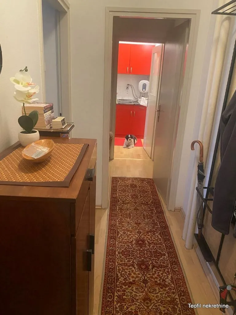Izdavanje, jednosoban stan, 41m², Novi Beograd Sve Podlokacije, Beograd