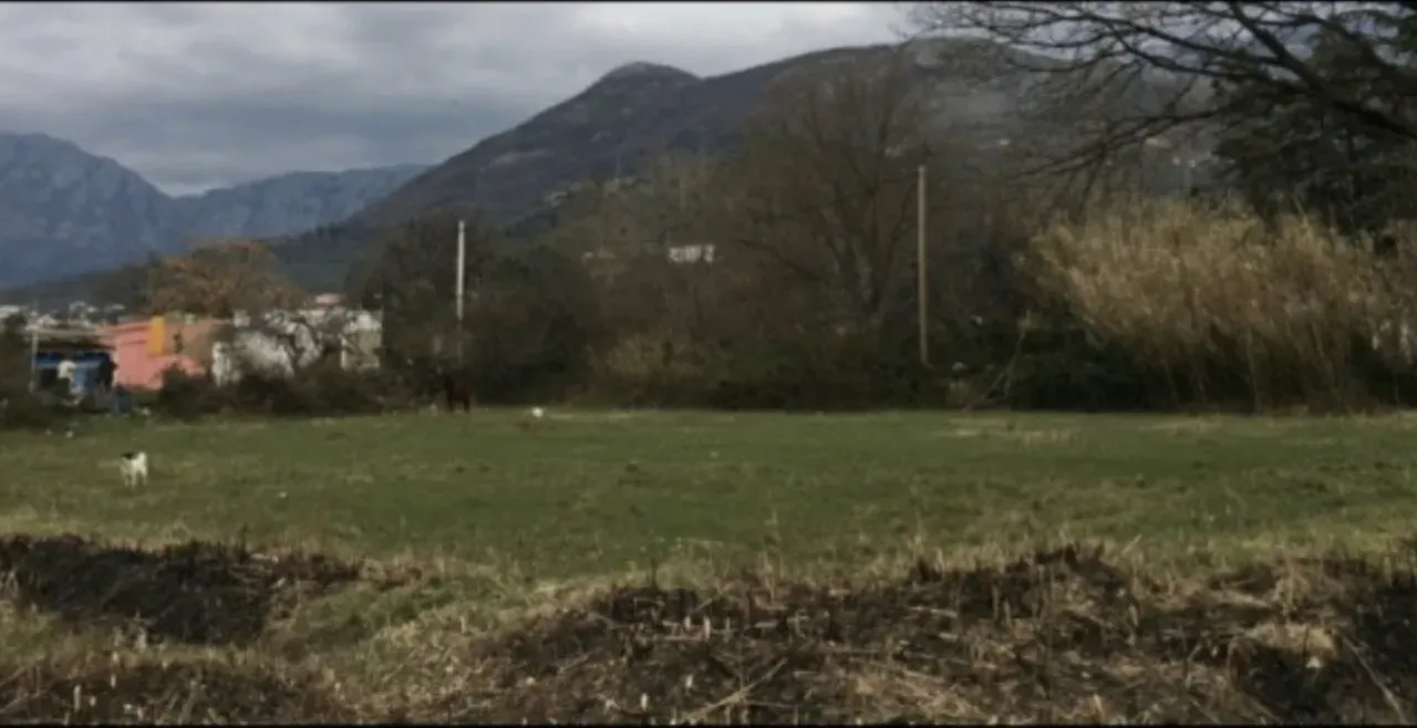 Sale, land lot, 2380m², Polje, Bar