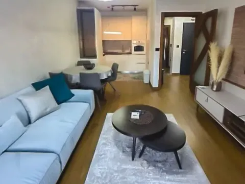 Rent, one bedroom apartment, 49m², Ljubović, Podgorica - image 9