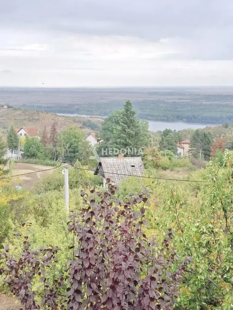 Pogled na okolni pejzaž i prirodu sa imanja.