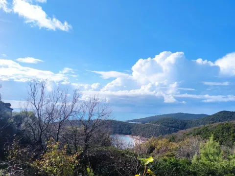 Sale, apartment, 35m², Prijevor, Budva - image 7