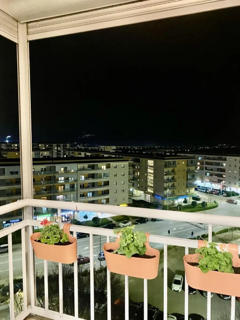 Night view from a balcony with flower pots overlooking the city.