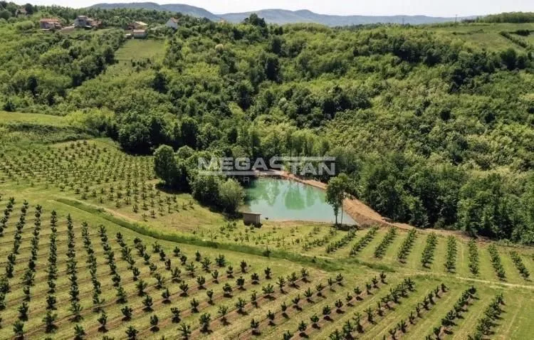 Prodaja, plac, 74500m², Arandjelovac, Srbija