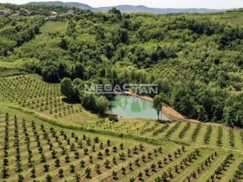 Sale, land lot, Arandjelovac, Srbija