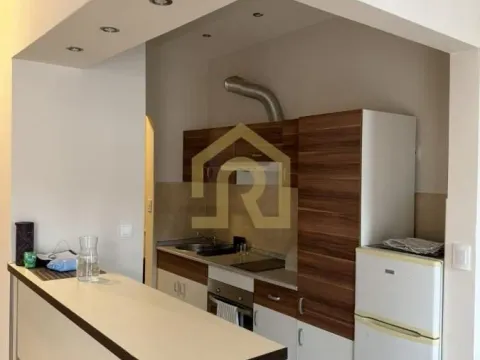 Izdavanje, dvosoban stan, 56m², Vračar Sve Podlokacije, Beograd - image 7