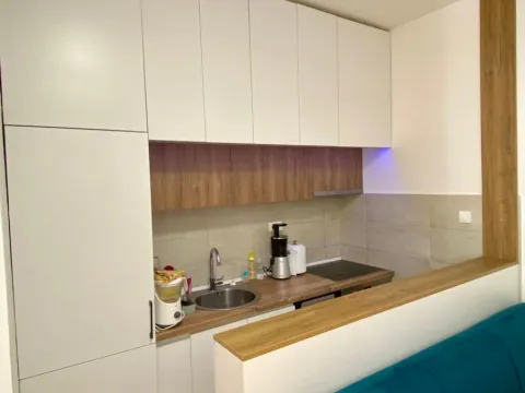 Prodaja, stan, 35m², Ljubović, Podgorica - image 8