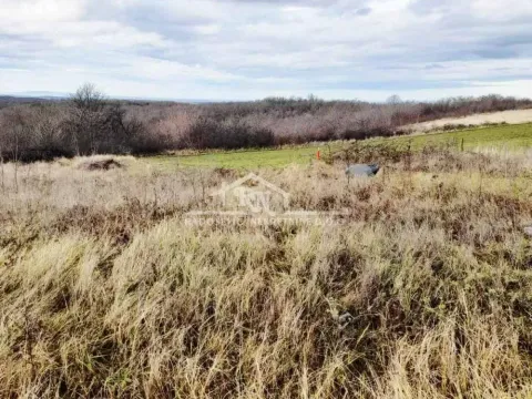 Prodaja, plac, 6653m², Sremčica, Beograd - image 5