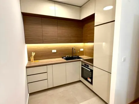 Izdavanje, jednosoban stan, 47m², New City, Podgorica - image 2