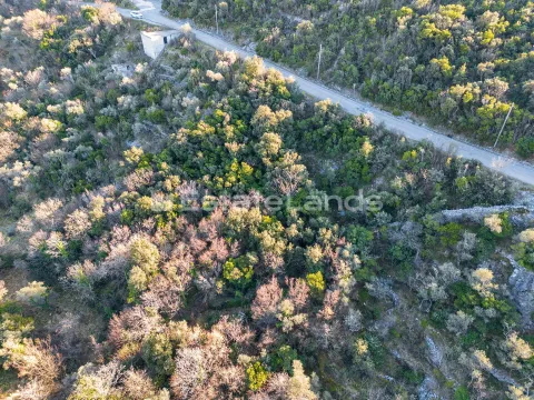 Prodaja, plac, 1850m², Zabrđe, Herceg Novi - image 5