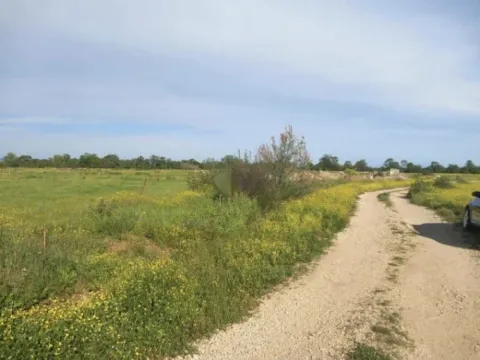 Prodaja, plac, 4074m², Pistula, Ulcinj - image 4