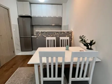 Izdavanje, jednosoban stan, 45m², Pobrežje, Podgorica - image 4