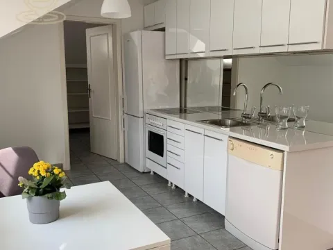 Izdavanje, četvorosoban stan, 135m², Savski Venac, Beograd - image 8