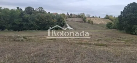Pogled na prostrano zemljište sa zelenilom i okolnim pejzažem. - image 8