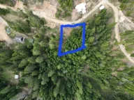 Sale, land lot, 20000m², Kokin brod, Nova Varoš
