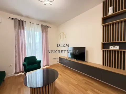 Rent, one bedroom apartment, 44m², Zabjelo, Podgorica - image 12