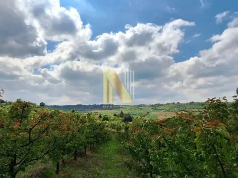 Prodaja, plac, 8200m², Sremski Karlovci, Novi Sad - image 4