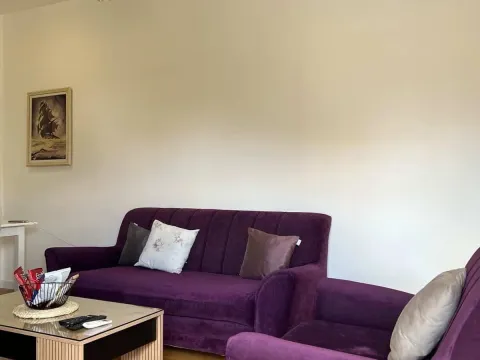Rent, one bedroom apartment, 47m², Zabjelo, Podgorica - image 10