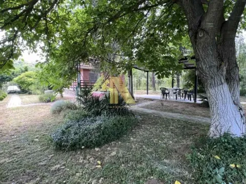 Prodaja, kuća, 50m², Irig, Srbija - image 4