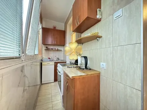 Izdavanje, jednosoban stan, 40m², Preko Morače, Podgorica - image 5