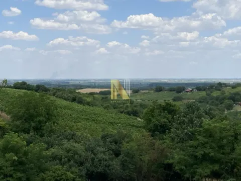 Sale, land lot, 5347m², Sremski Karlovci, Novi Sad - image 2