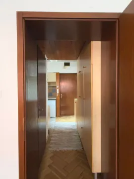 Izdavanje, jednosoban stan, 30m², Cvetni Trg, Vračar Sve Podlokacije - image 8