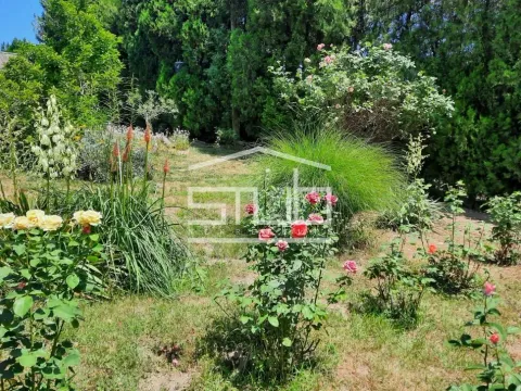 Sale, house, 42m², Pančevo, Srbija - image 8