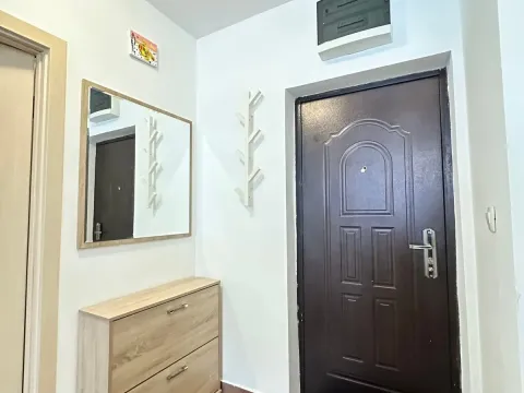 Izdavanje, jednosoban stan, 40m², Ljubović, Podgorica - image 8