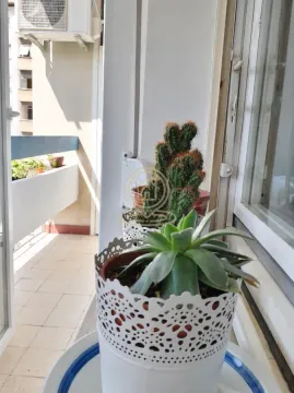 Saksije sa kaktusima i sobnim biljem na balkonu. - image 13