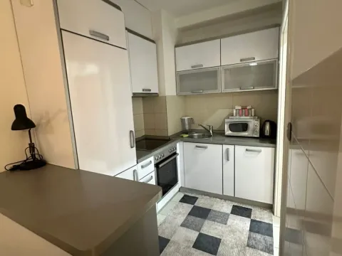 Izdavanje, jednosoban stan, 60m², Stari Aerodrom, Podgorica - image 16