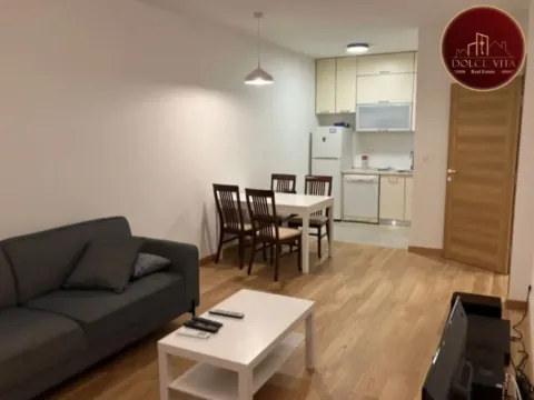 Rent, one bedroom apartment, 48m², New City, Podgorica