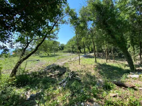 Prodaja, plac, 1803m², Kuljače, Budva - image 6