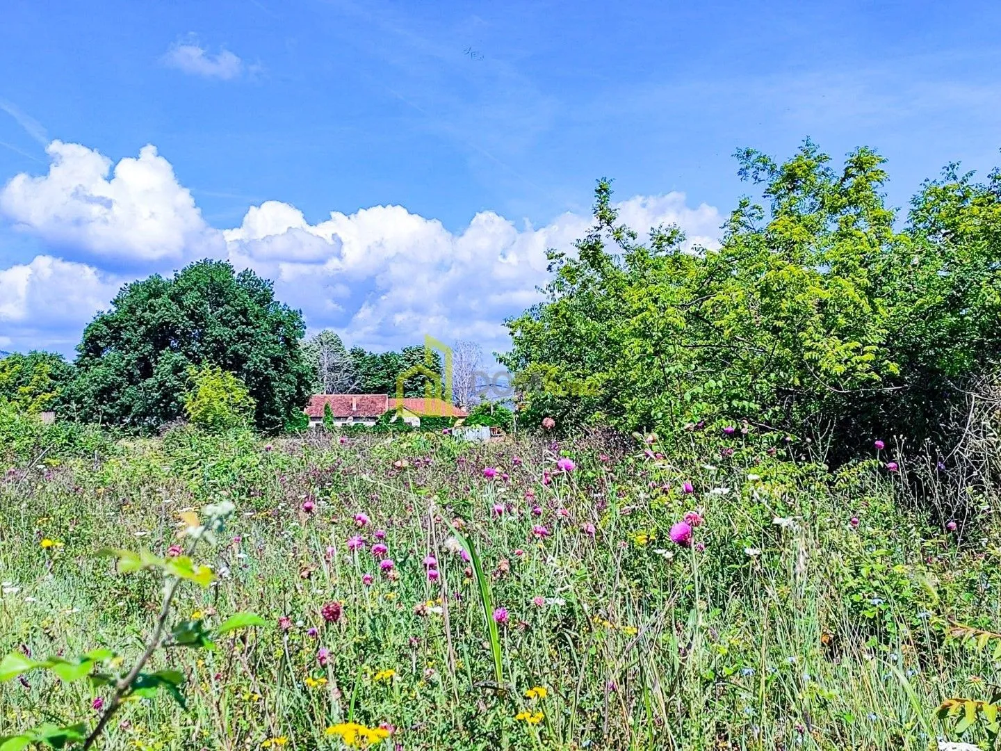 Prodaja, plac, 2500m², Zeta, Podgorica