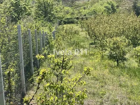 Prodaja, plac, 6200m², Grocka, Beograd - image 16