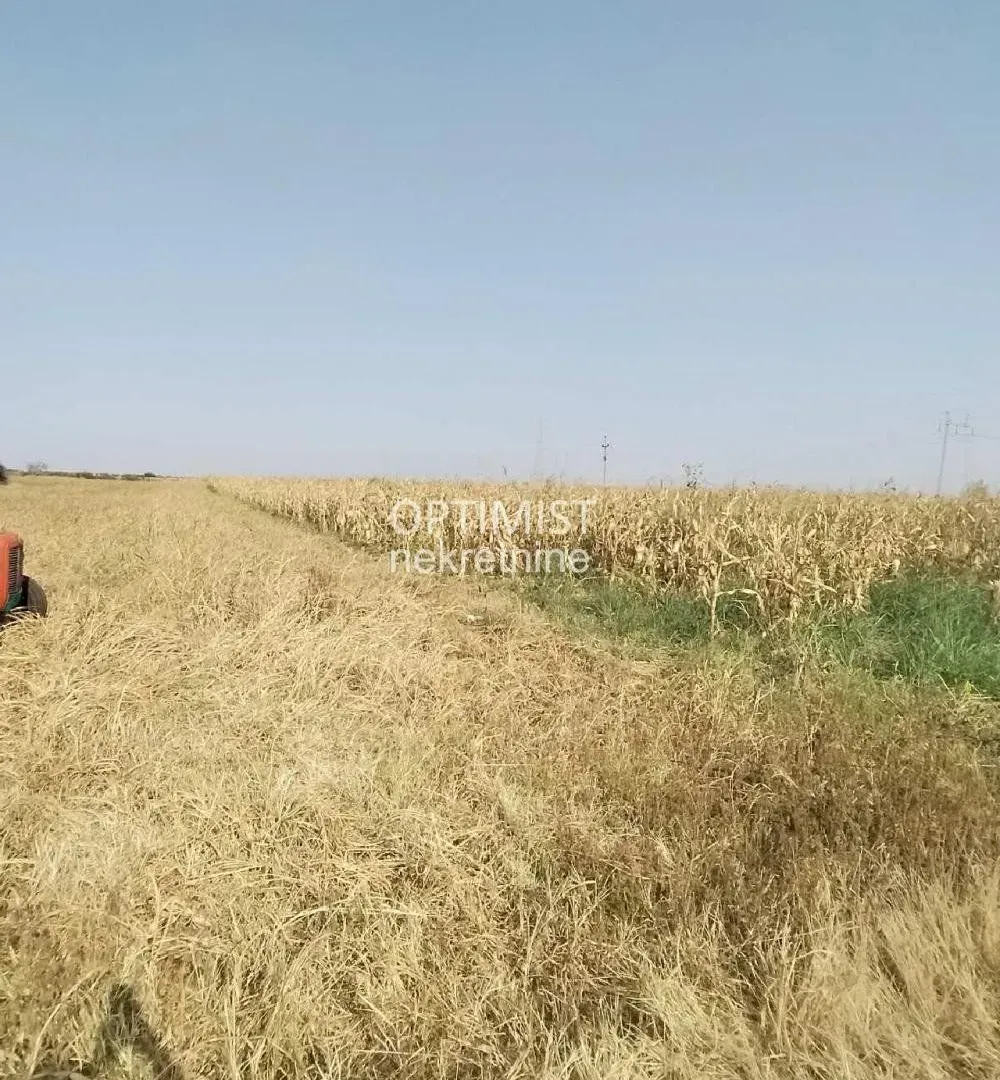 Prodaja, plac, 7925m², Jakovo, Surčin