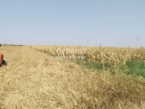 Prodaja, plac, 7925m², Jakovo, Surčin - image 4