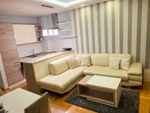 Izdavanje, jednosoban stan, 50m², Zabjelo, Podgorica - image 3