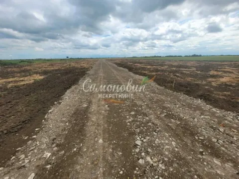 Prodaja, plac, 600m², Krnješevci, Stara Pazova - image 4
