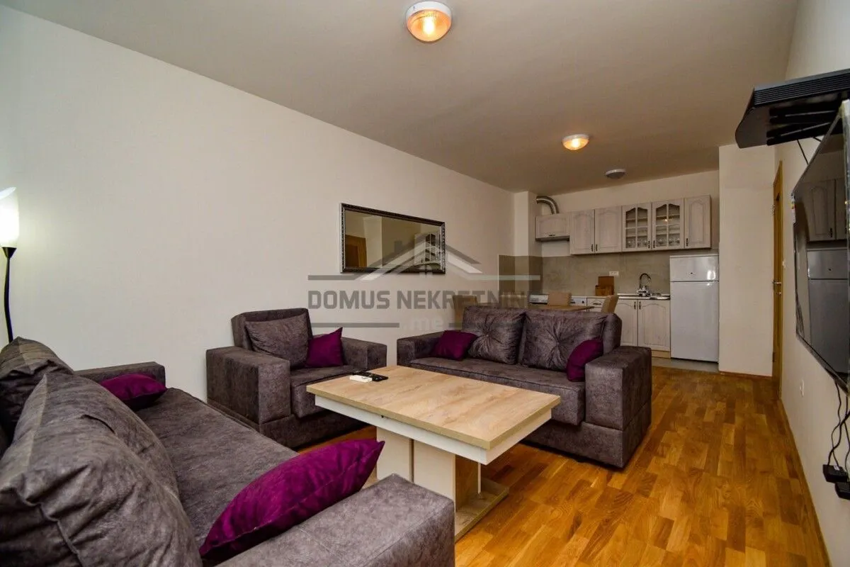 Rent, one bedroom apartment, 45m², Stari Aerodrom, Podgorica
