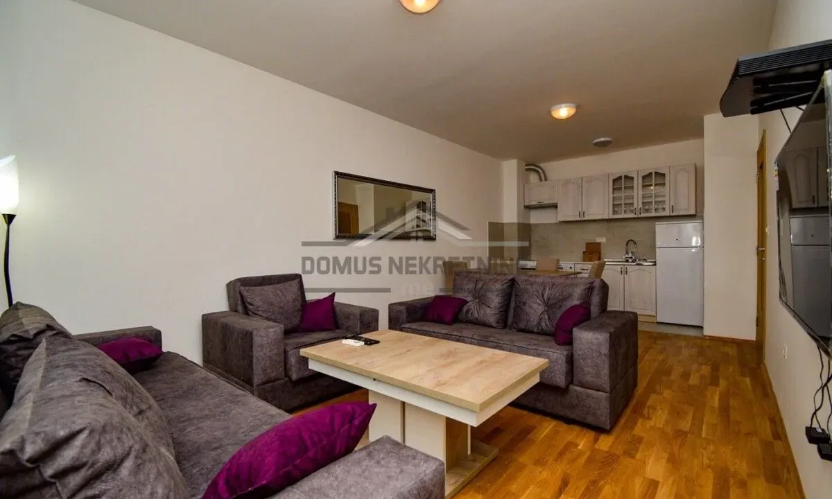 Rent, one bedroom apartment, 45m², Stari Aerodrom, Podgorica
