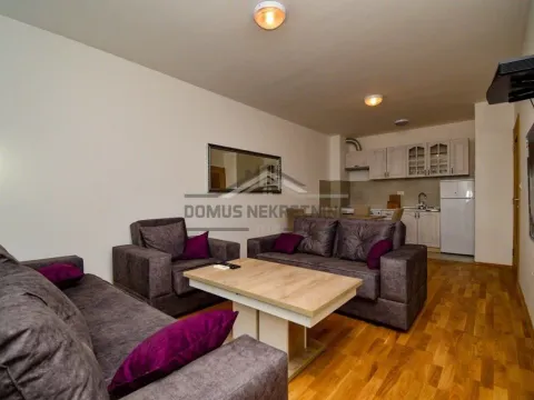 Rent, one bedroom apartment, 45m², Stari Aerodrom, Podgorica - image 1