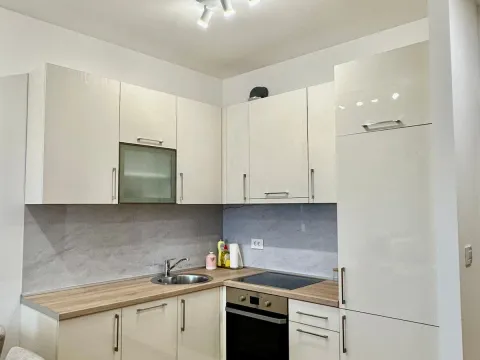 Rent, one bedroom apartment, 47m², Stari Aerodrom, Podgorica - image 1