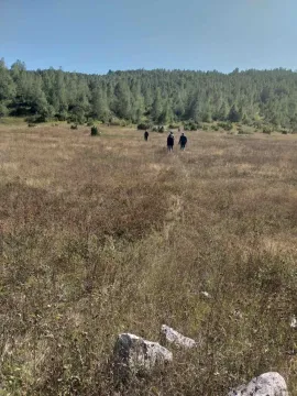 Pogled na prostrani travnati plac sa šumom u pozadini i osobama u daljini. - image 8